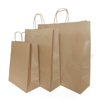 Eco Brown Paper Bags 