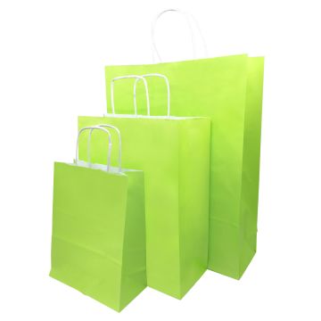 Eco Paper Bags - Zesty Lime