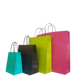 Premium Range Colourful Paper Bags Retail Ping Browse Paper Carrier Bags