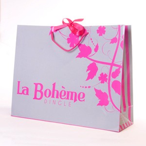 Pink and silver paper bag with rope handles